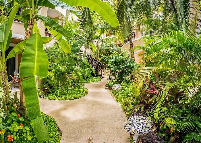 Bric & 3* Playa del Carmen